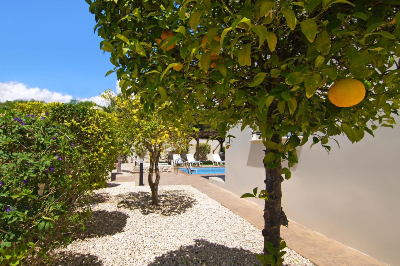 Nissi Adamite Villa Agia Napa Exterior foto
